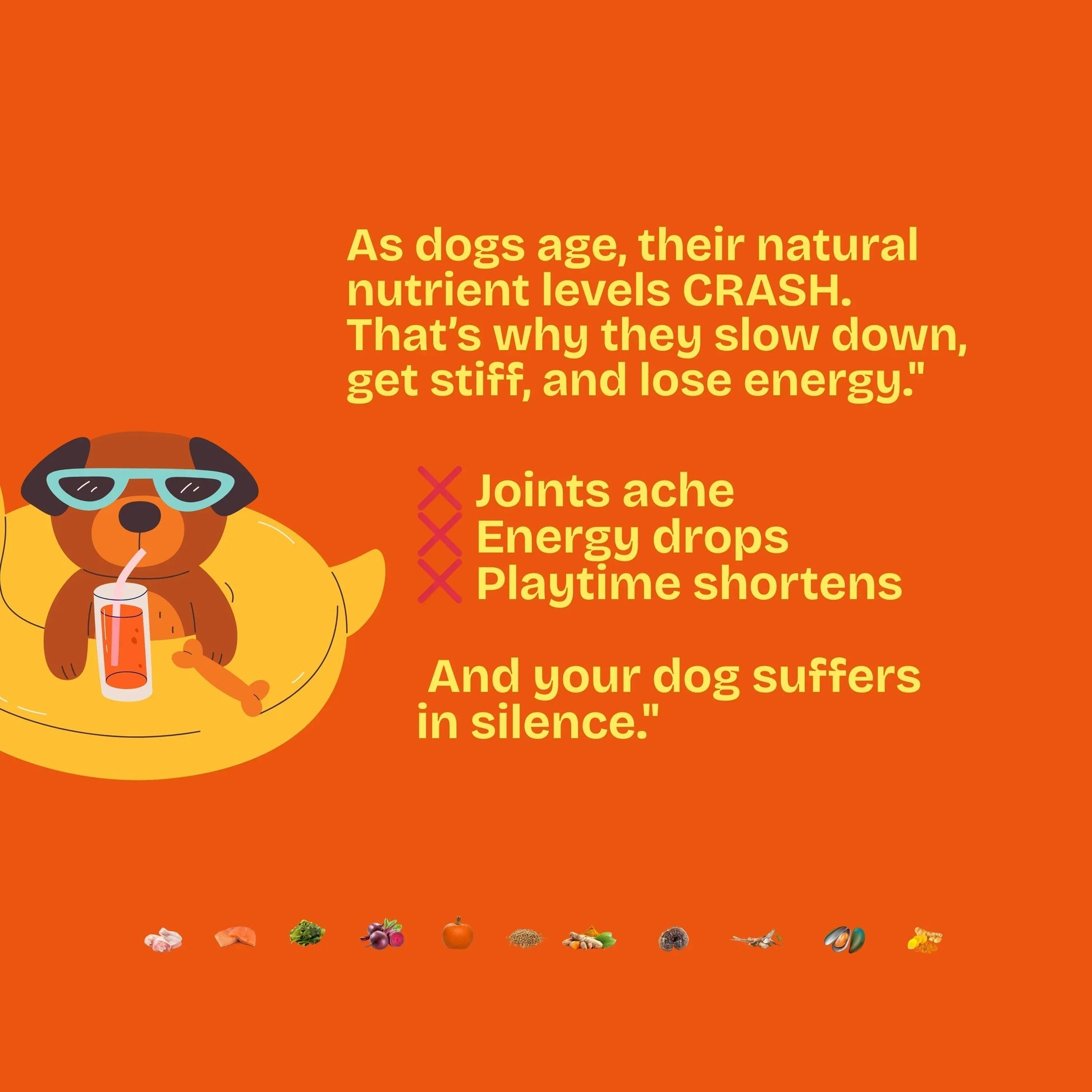 Pawglys supplements image with cartoon dog in sunglasses, text on canine aging, and healthy foods.