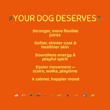 Pawglys supplements orange promo image listing dog health benefits and natural ingredients.