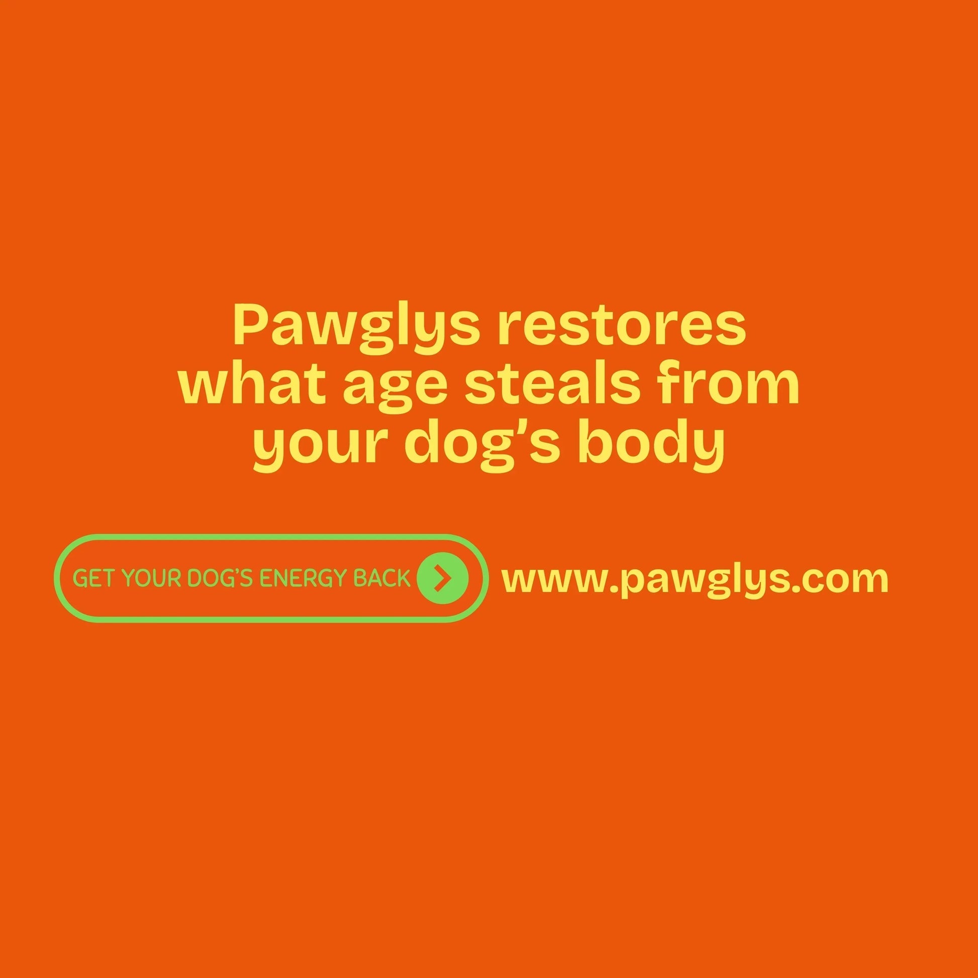 Pawglys supplements ad with yellow text on orange background, promoting dog energy restoration.