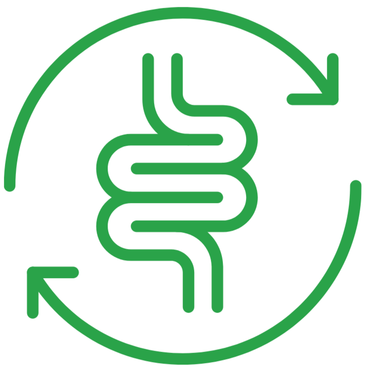 Gut Health Supplements