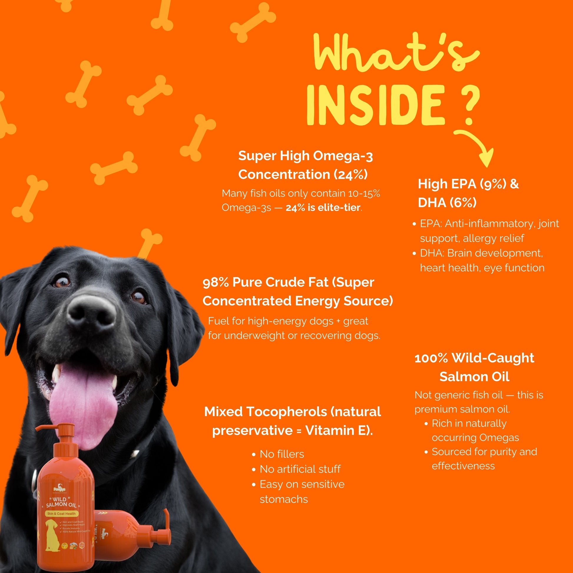 Wild Salmon Oil Formula for Dogs