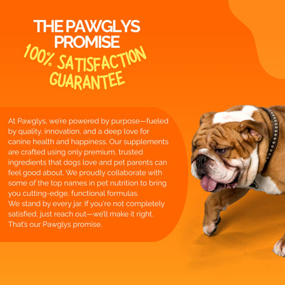 25-in-1 Dog Multivitamin Chews | Complete Daily Support
