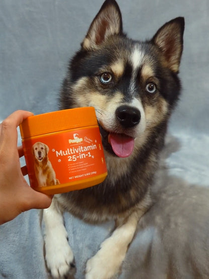 25-in-1 Multivitamin Chews for Dogs – Complete Joint, Gut, Skin & Immune Support