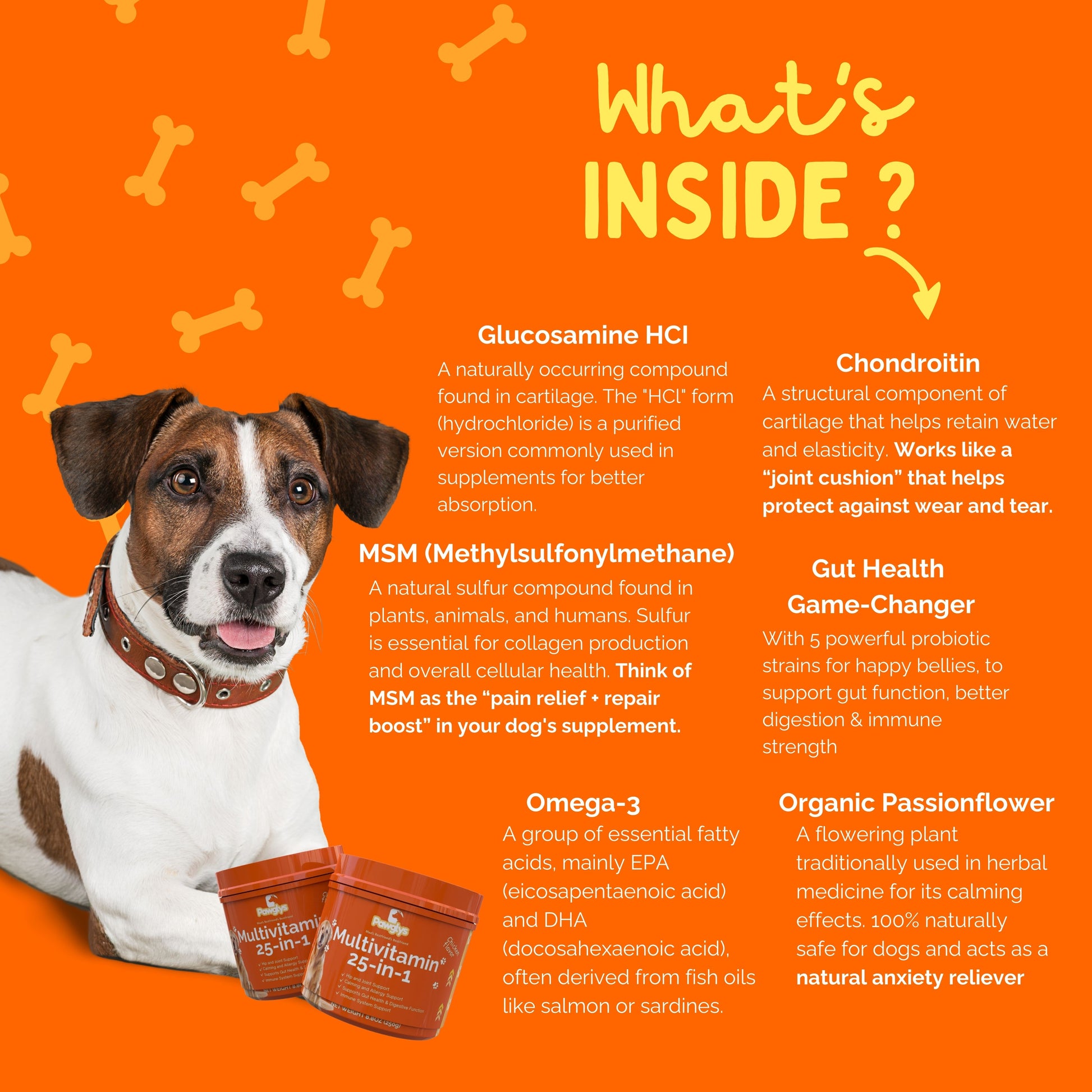 Dog multivitamin chews