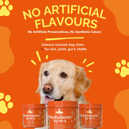 Multivitamin chews for dogs