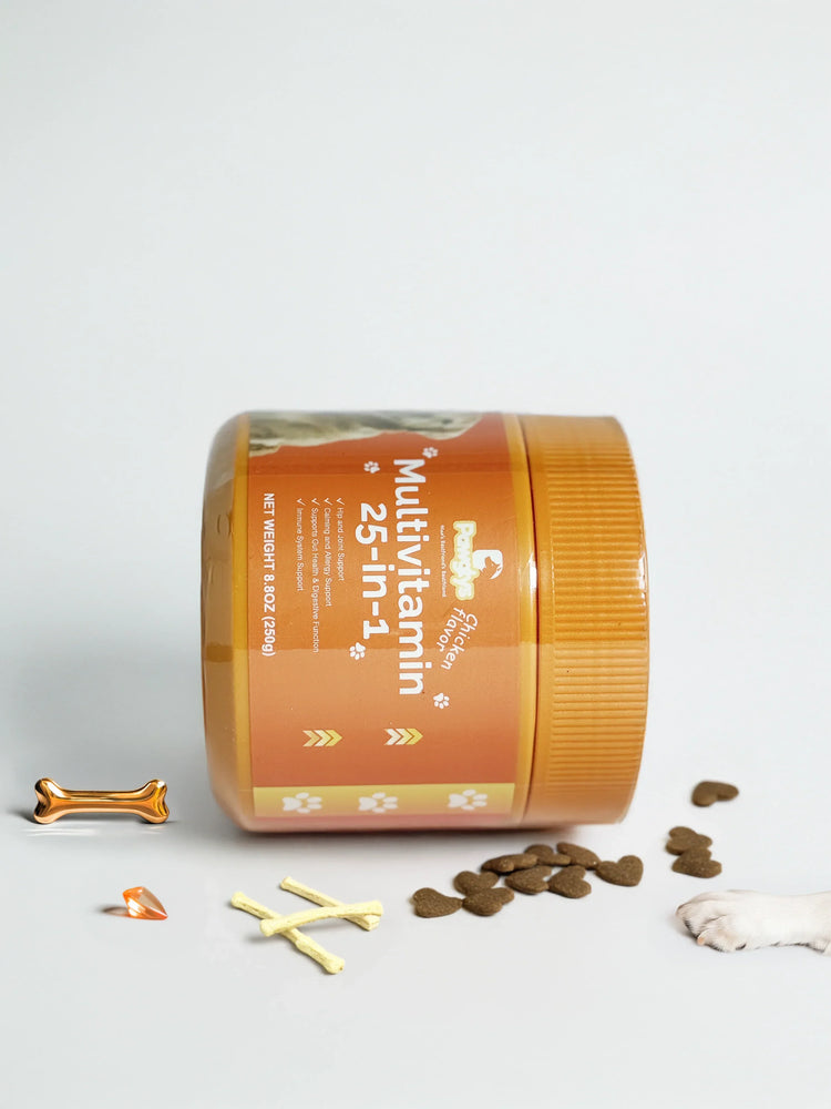 Pawglys supplements multivitamin for dogs, orange container, dog treats, on white background