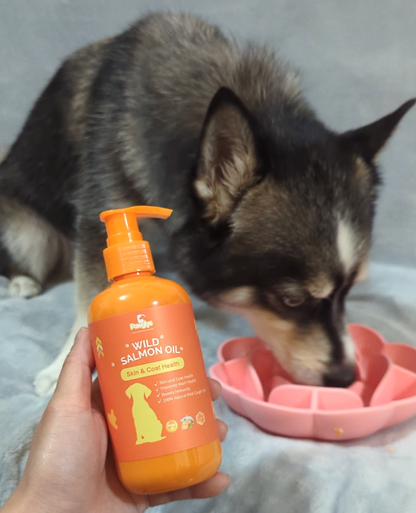 Dog sniffing a bottle of Pawglys Wild Salmon Oil with a pink bowl in the background