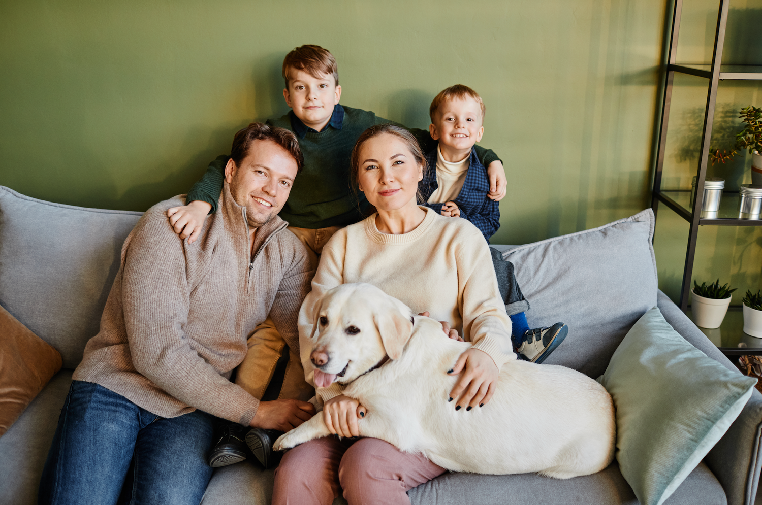 Buy Natural dog supplements