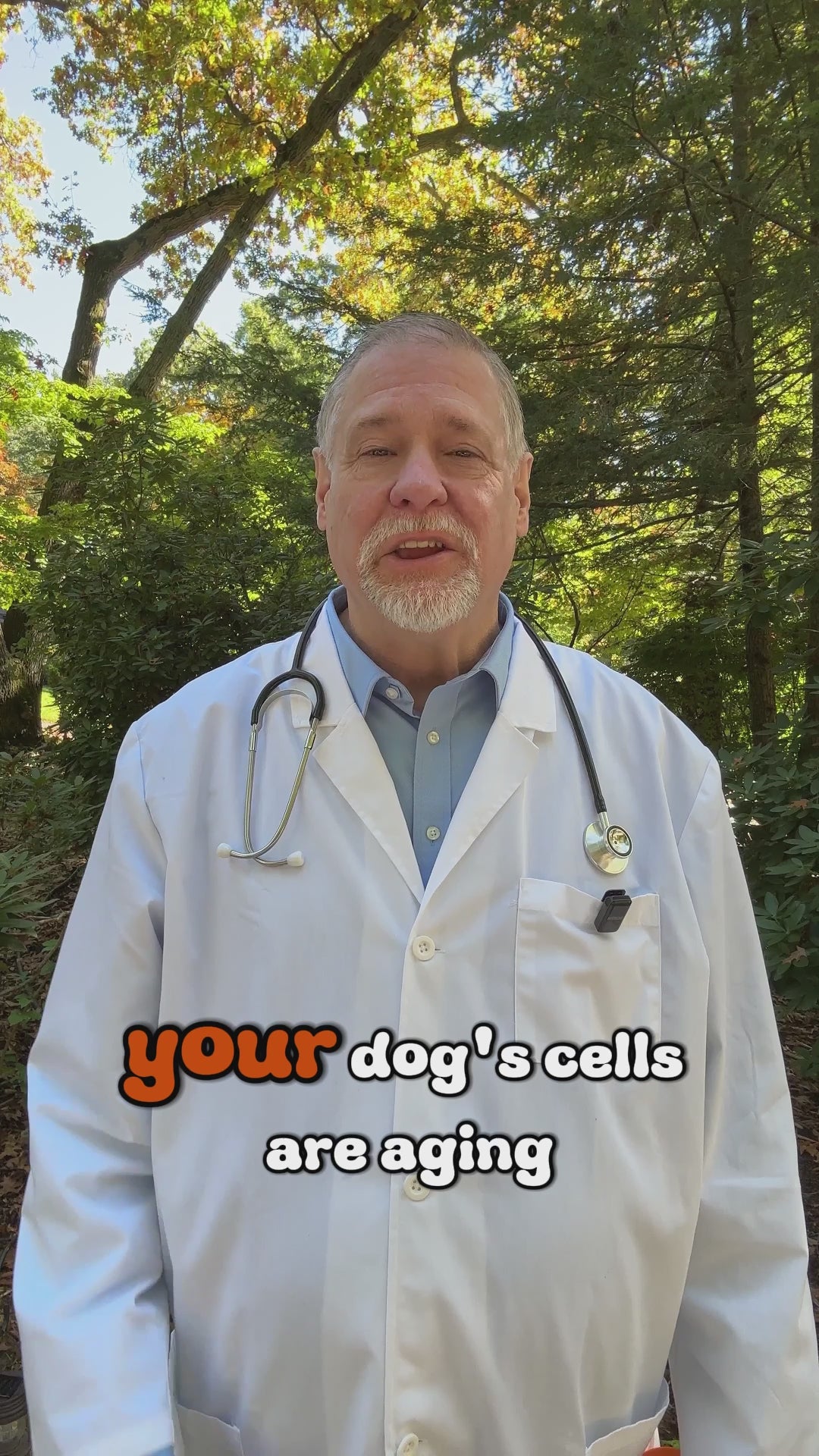 Pawglys multivitamin 25-in-1 chews revive your dog pawglys fish oil pawglys pawglys